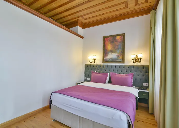 Hotel Life (adults Only) 3*